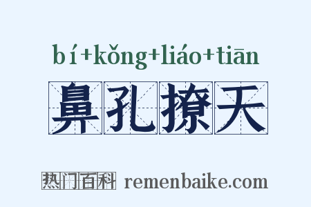 鼻孔撩天是什么意思的图片